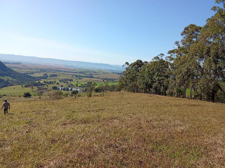 Stio - Venda - rea Rural - Ariranha do Iva - PR